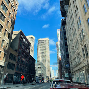 Meet your Posher, Riley